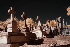 Cementerio de la Almudena