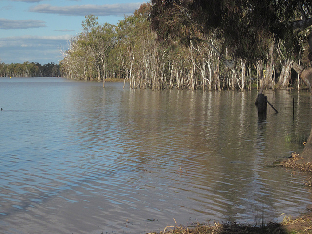 LakeBroadwater 072013 006