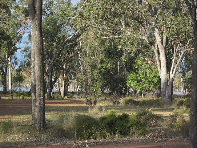 LakeBroadwater 072013 008