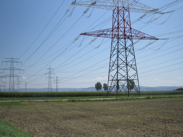 La plaine danubienne à hauteur de Zwentendorf.