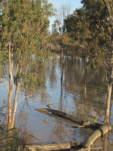 LakeBroadwater 072013 009