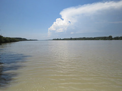 Le Danube à hauteur de Zeiselmauer.