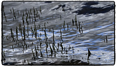 Reflet