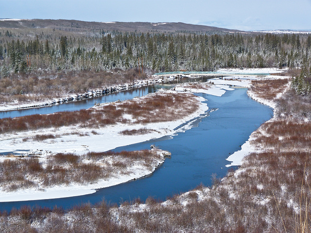 Spring in Weaselhead