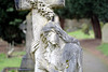 Fuji X-E1 & Nikon 50mm f1.8 + Novoflex + Fuji M Mount adaptor Image