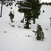 IMG_1763_cleaned