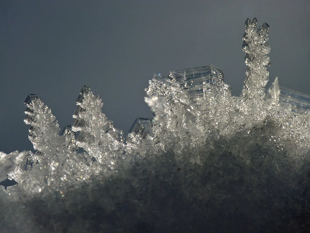 Ice crystals growing on snow