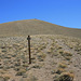 Toiyabe Crest Trail