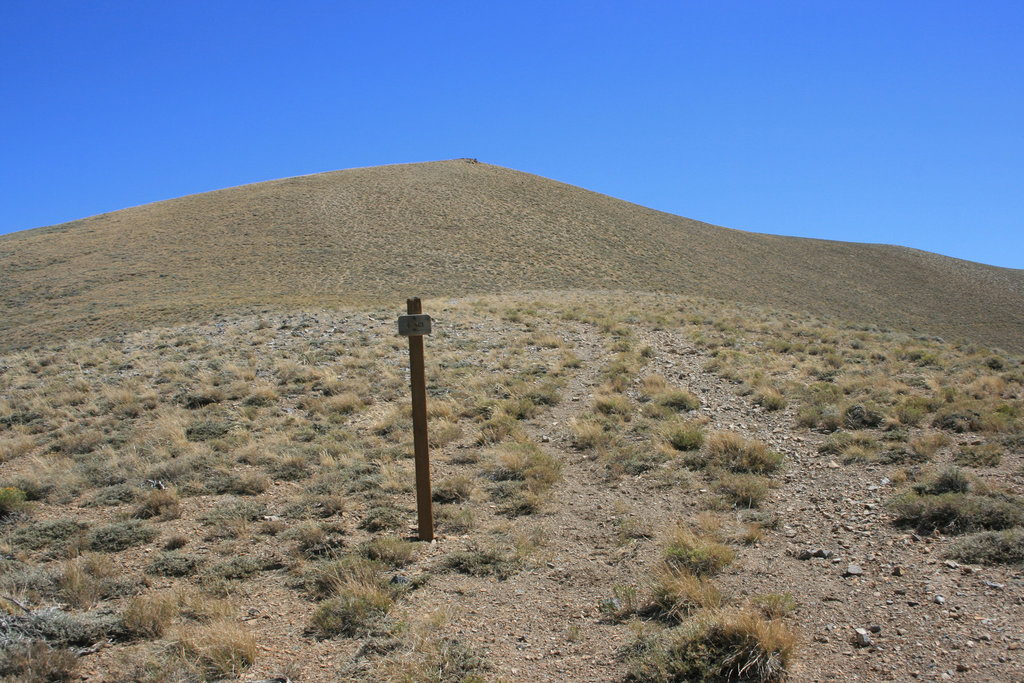 Toiyabe Crest Trail