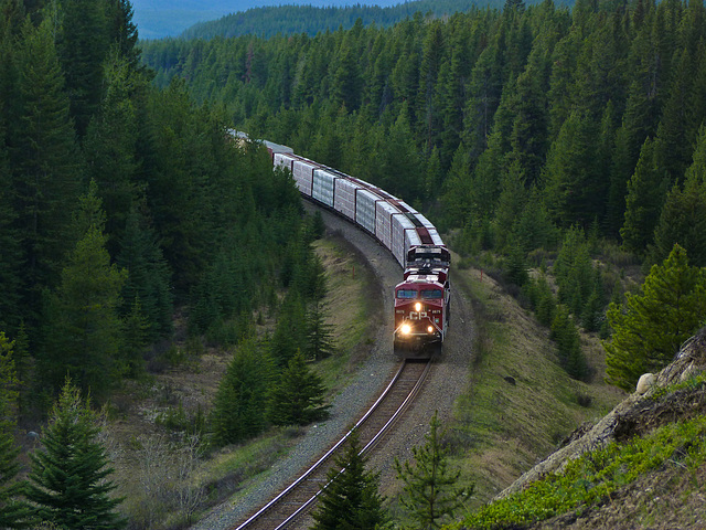 Little train in a big landscape