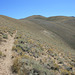 Toiyabe Crest Trail, Toiyabe Range, Nevada, USA