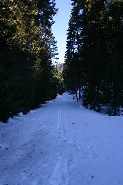 Cross-country ski trail