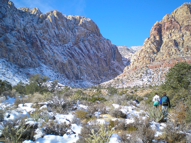 First Creek, Red Rock Canyon, Nevada