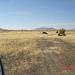 DSC00703