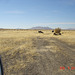 DSC00705