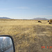 DSC00704