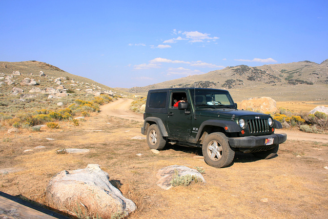 In the Pine Forest Range