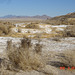 DSC00711