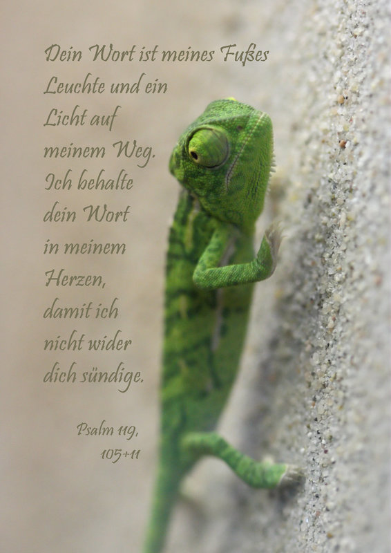 Spruchkarte für 11/12 - gedruckt