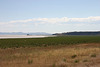 IMG_7214_cleaned