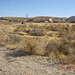DSC00712