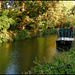 autumn-coloured canal