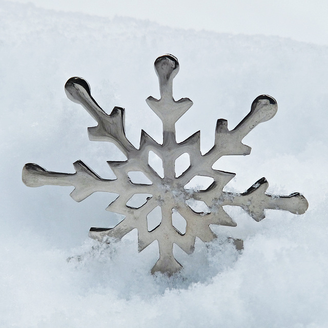 A bit of Christmas fun