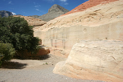 Quarry, Aztec Sandstone