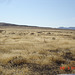 DSC00702