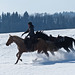 Fun in the snow