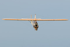 Eon Primary glider (c)