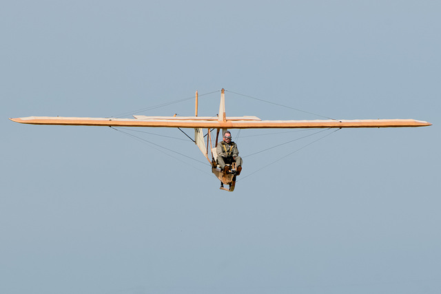 Eon Primary glider (c)