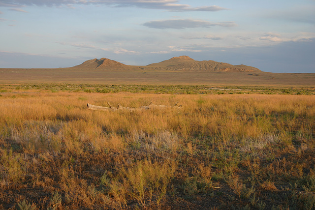 Site of Terrace, Utah