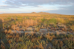 Old foundation, site of Terrace, Utah