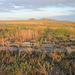 Old foundation, site of Terrace, Utah