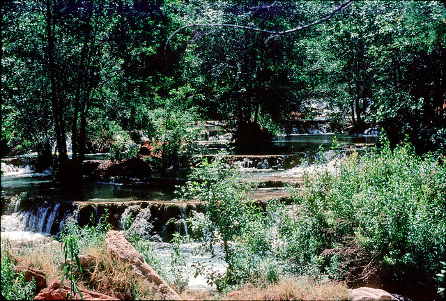 Travertine Dams in Havasu Creek