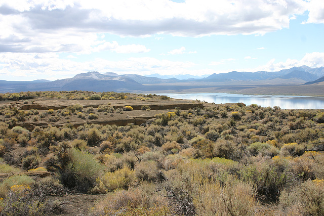 Mono Lake