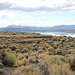 Mono Lake