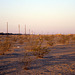 02-desert_near_RV_park_adj