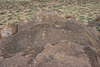 Petroglyphs