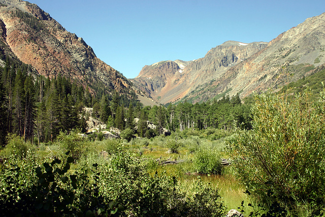 Lundy Canyon