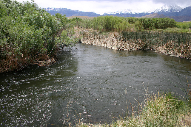 Owens River