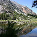 Beaver pond in Lundy Canyon