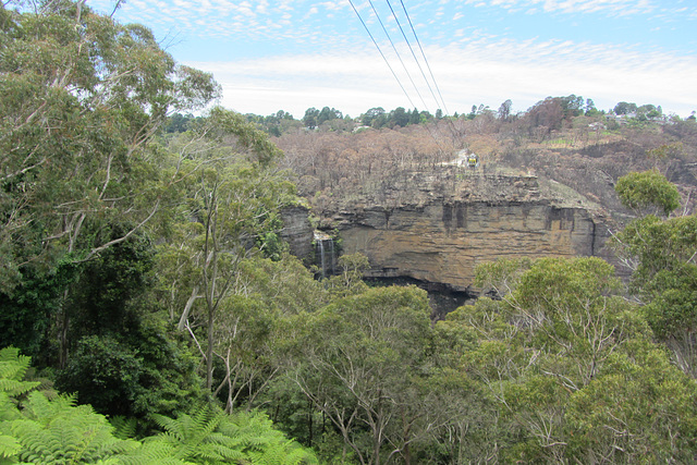 Blue Mountains, 10 Jan 2012