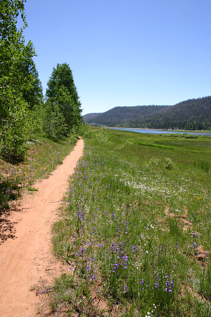 Navajo Lake, Utah, USA