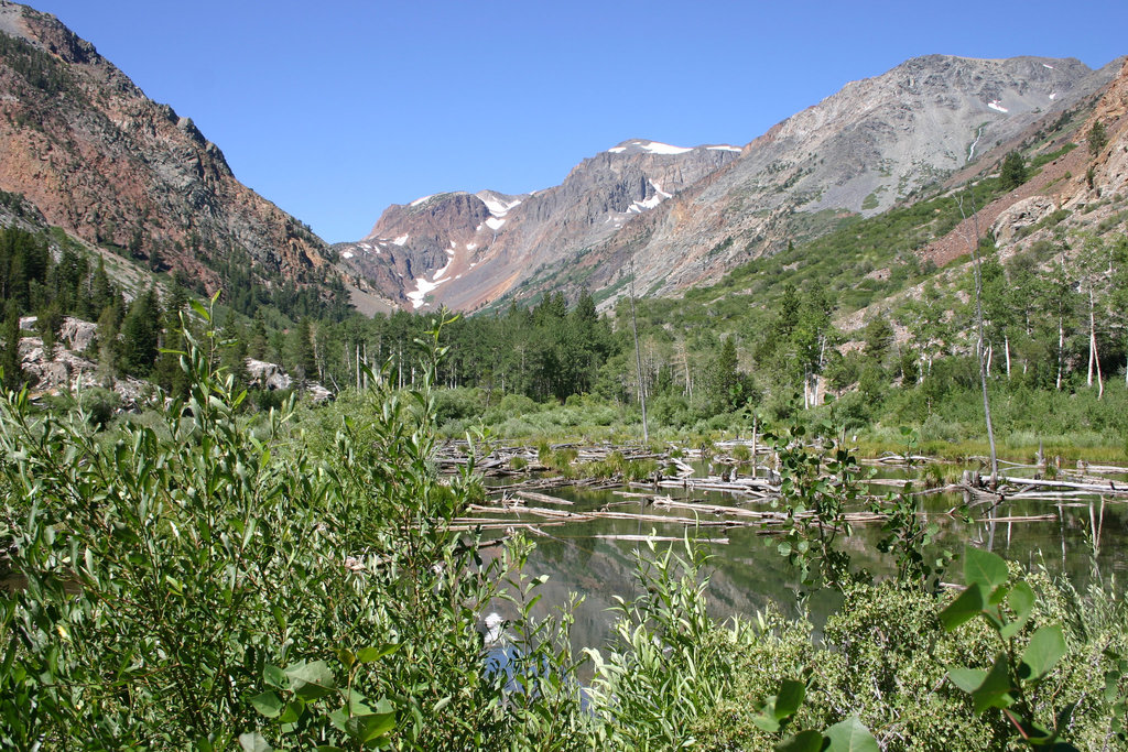 Lundy Canyon