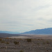 DSC_0232_adj