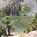 Beaver Pond in Lundy Canyon