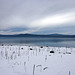 Lake Almanor