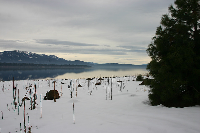 Lake Almanor